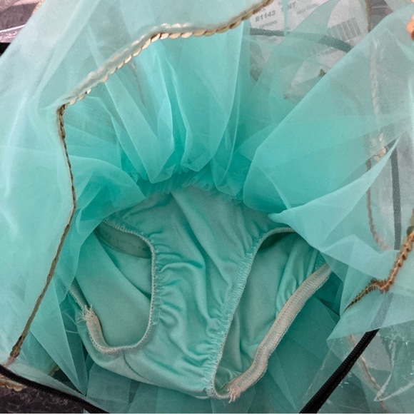 Custom Made Ballerina/Dancer Costume - Picture 11 of 11